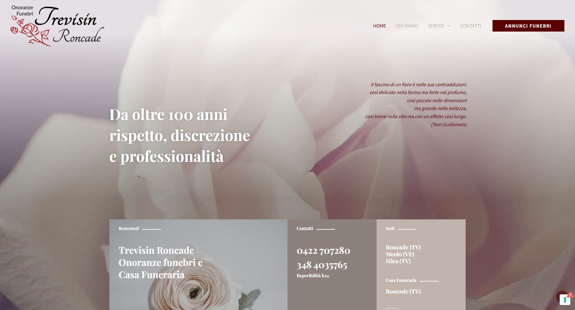 Anteprima sito Trevisin Roncade