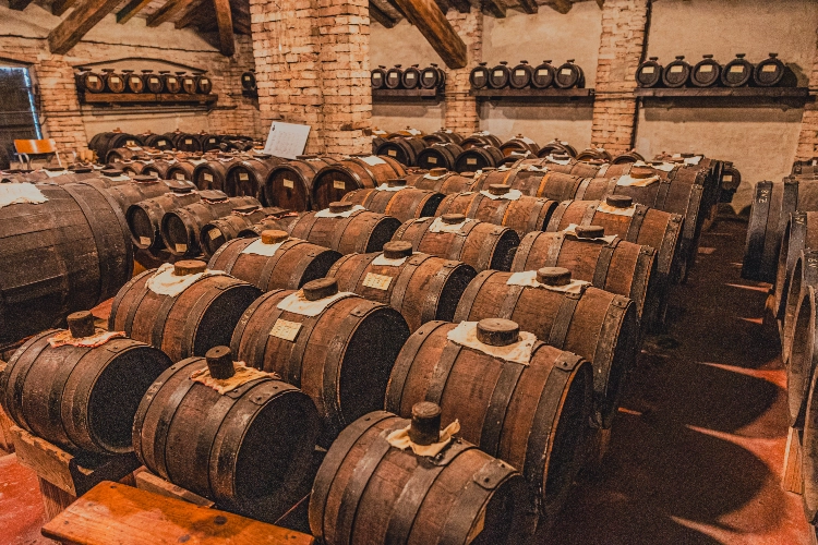 Sorbara 2024